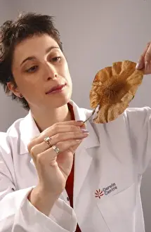 Vicki Noble with botanical specimen