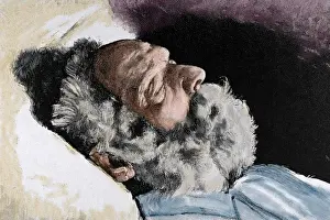 Henri Prints: Victor Hugo (1802-1885). French poet, novelist, and dramatis