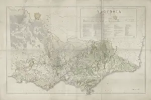Distribution Prints: Victoria Distribution of Forest Trees (Everett, 1872)