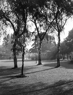 Cardiff Prints: Victoria Park, Cardiff