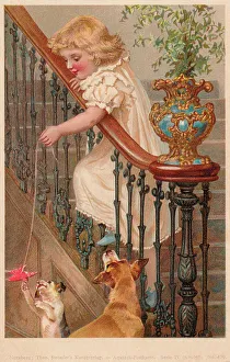 Victorian Child & Her Dogs