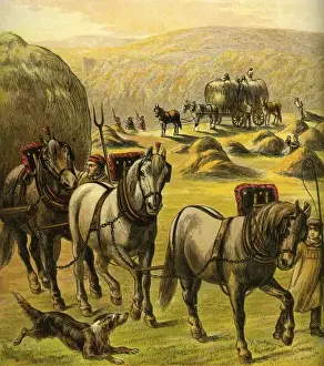 Farm Yard Prints: Victorian Farmyard (Haymaking)