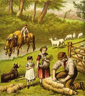 Farm Yard Prints: Victorian Farmyard (Sheep shearing)