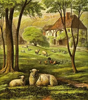 Farm Yard Prints: Victorian Farmyard (The farmyard)