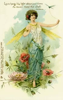Images Dated 25th June 2012: Victorian flower fairies