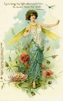 Images Dated 2012 June: 25 Jun 2012 Collection