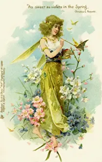 Victorian flower fairies