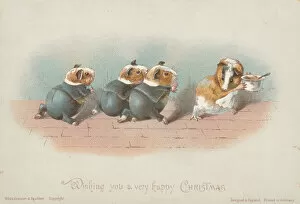Pigs Collection: Victorian Greeting Card - Hungry Guinea-Pigs