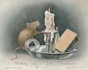 Investigating Collection: Victorian Greeting Card - Inquisitive Mouse