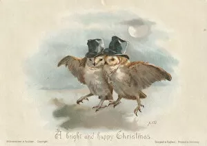 Images Dated 2nd December 2019: Victorian Greeting Card - Owls in Town