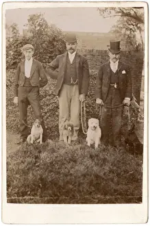 Three Victorian men with four assorted dogs
