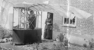 Andrews Gallery: Victorian ornithopter with James Bell Pettigrew