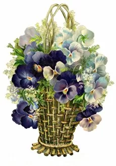 Images Dated 11th December 2015: Victorian Scrap, basket of flowers