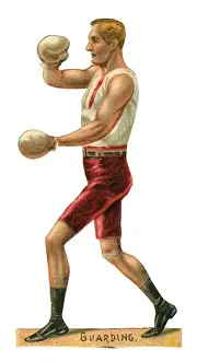 Guarding Prints: Victorian scrap - boxer guarding