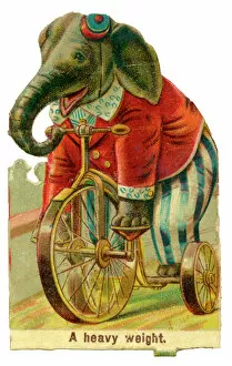 Elephant Collection: Victorian Scrap - Circus Elephant riding a Tricycle