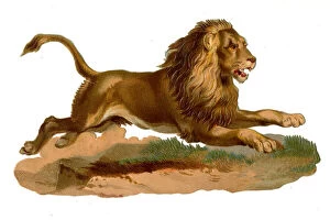 Leaping Gallery: Victorian scrap, leaping lion