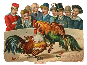 Images Dated 17th December 2015: Victorian Scrap, men watching cock fight