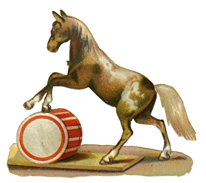 Images Dated 17th December 2015: Victorian Scrap, Performing Circus Horse