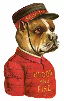 Chin Collection: Victorian scrap - Salvation Army bulldog