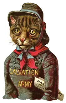 Victorian scrap - Salvation Army tabby cat