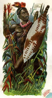 Zulu Gallery: Victorian Scrap, Zulu Warrior