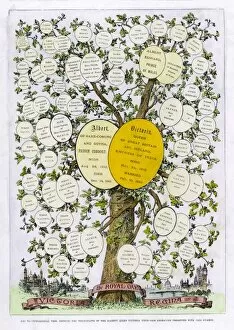 1887 Collection: Victorias Family Tree
