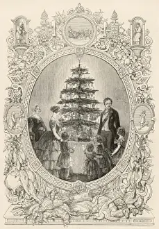 Victorias Xmas Tree / Iln