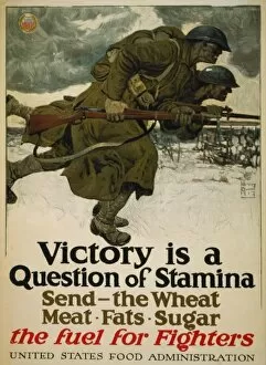 Sugar Collection: Victory is a question of stamina - Send - the wheat, meat, f