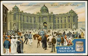 Platz Prints: Vienna, Hofburg