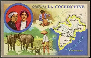 Colony Collection: Vietnam / Map C1930 French