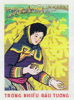 Agricultural Collection: Vietnamese Patriotic Poster - Plant Soya Beans!