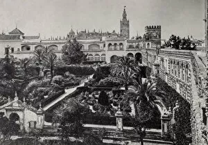 Alcazar Gallery: View of the Alcazar Palace, Gardens, Seville, Spain