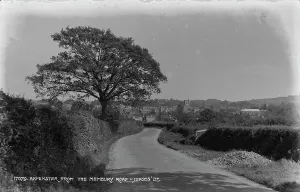 Steeple Prints: View of Axminster from Membury Road