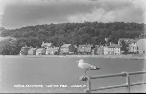 Seagull Prints: View of Beaumaris from the Pier
