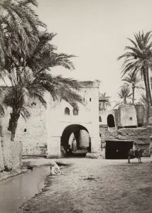 Religious Residence Prints: View of Biskra Algeria, north Africa