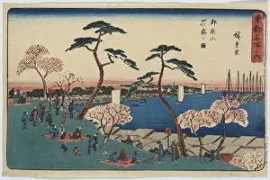 View of blossoms at Gotenyama