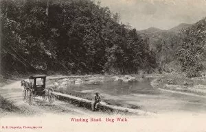 Images Dated 4th October 2016: View of the Bog Walk, Rio Cobre, Jamaica, West Indies