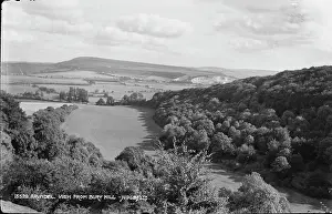 View from Bury Hill