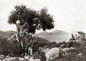 Capri Prints: View of Capri from Sorrento, Italy, circa 1880s