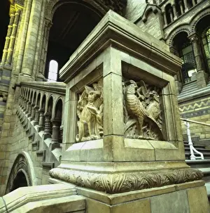 Detail view of the Central Hall at the Natural History Museu