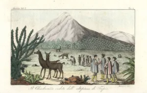 Andes Gallery: View of the Chimborazo volcano in the Andes