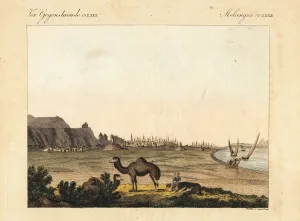 Synagogue Prints: View of the city of Cairo, Egypt, with its