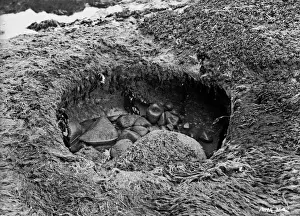 View of a coastal hole with stones inside
