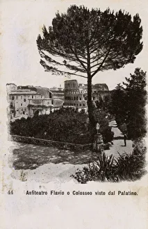 Palatine Gallery: View of the Colosseum and Roman Forum from Palatine Hill