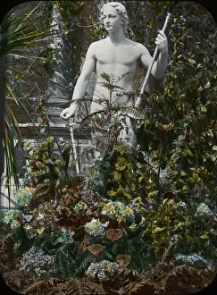 Gained Prints: View in the Conservatory, Horticultural Gardens