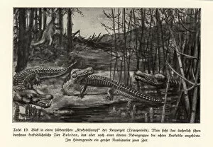 Pterodactyl Collection: View of a crocodile swamp, south Germany, Triassic period