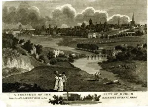 View of Dublin from Magazine Hill in Phoenix Park