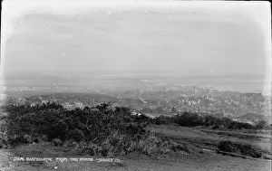 Shrubbery Prints: View of Eastbourne from the Downs