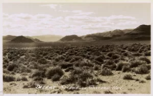 View of the eastern Nevada Desert, USA