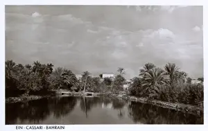 Pools Prints: View at Ein Cassari, Bahrain, Persian Gulf